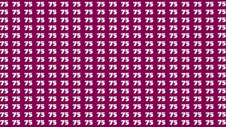 Observation Find it Out: If you have Sharp Eyes Find the number 73 among 75 in 12 Secs