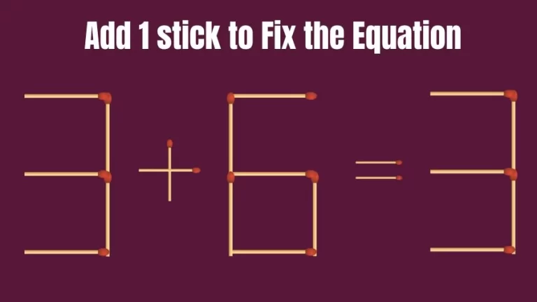 Brain Teaser: 3+6=3 Add 1 Matchstick to Fix the Equation