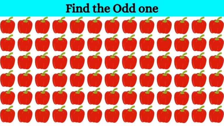 Brain Teaser to test your Eyes: Can you Spot the Odd One Out in this Picture in 10 Secs?