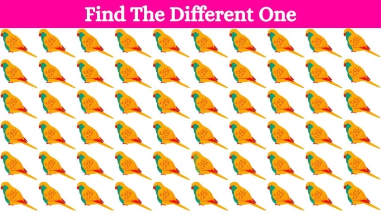 Circle the Odd One Out In 12 secs? Brain Teaser