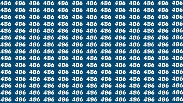 Do you have a sharp brain? Find the Number 486 in 18 Secs