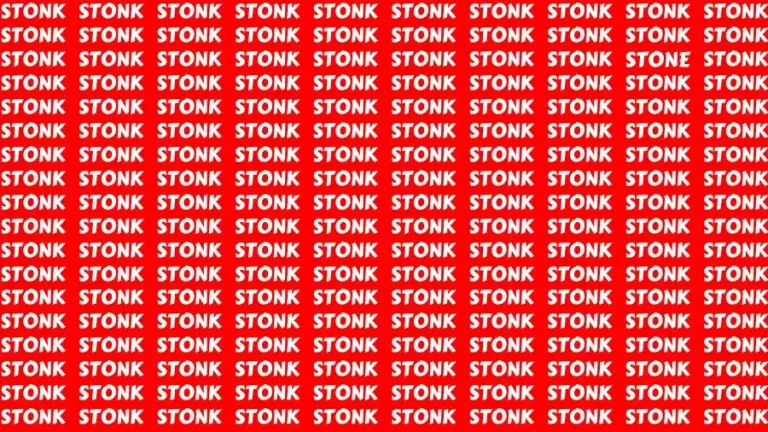 Only People With Eagle Eyes Can Spot the Word Stone Among Stonk in 14 Secs