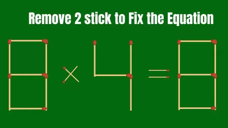 Solve the Puzzle Where 8x4=8 by Removing 2 Sticks to Fix the Equation