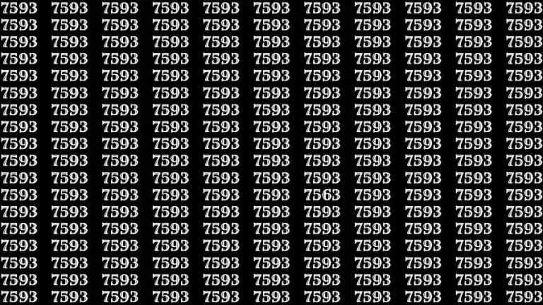 Observation Skill Test: If you have 50/50 Vision Find the number 7563 among 7593 in 10 Seconds?