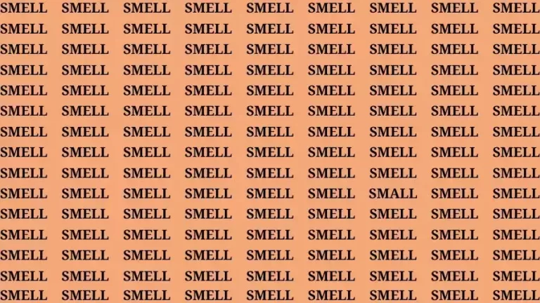 Observation Skill Test: If you have Keen Eyes Find the Word Small among Smell in 15 Secs