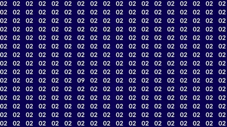 Observation Skills Test: If you have Sharp Eyes Find the number 09 among 02 in 8 Seconds?