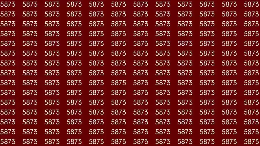 Observation Brain Challenge: If you have Hawk Eyes Find the number 5875 among 5873 in 15 Seconds?