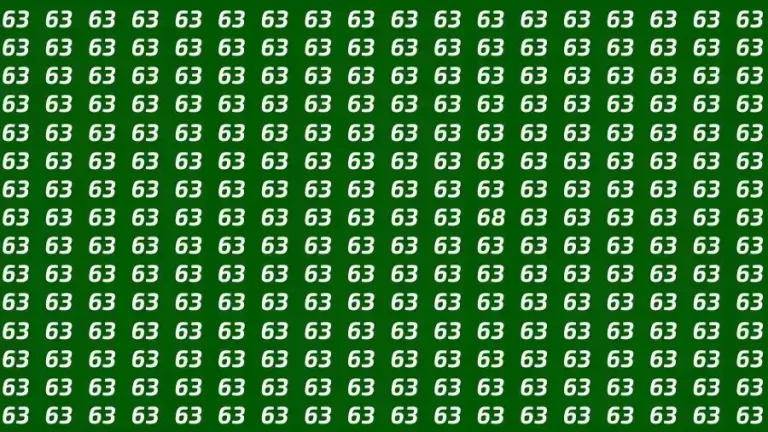 Optical Illusion Brain Challenge: If you have Hawk Eyes Find the number 68 among 63 in 15 Seconds?