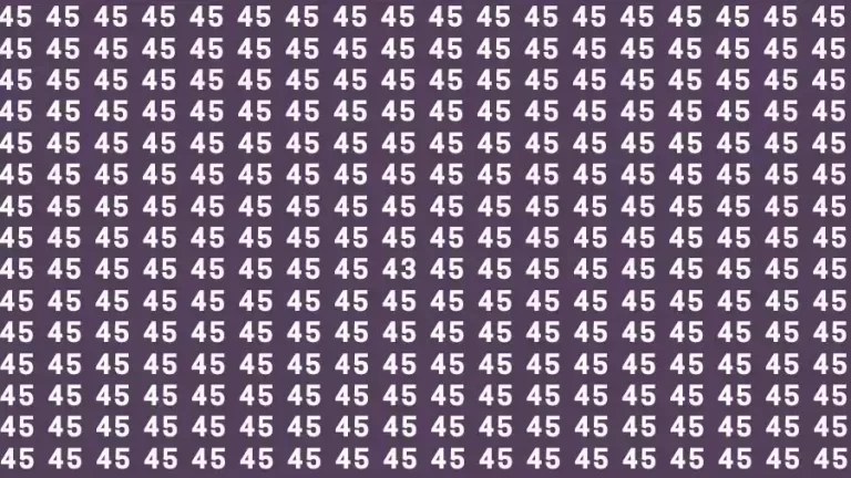 Observation Skill Test: If you have 50/50 Vision Find the number 43 among 45 in 12 Seconds?