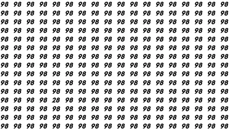 Observation Skill Test: If you have Eagle Eyes Find the number 28 in 10 Seconds?