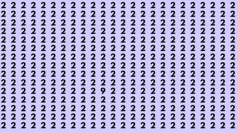 Observation Skill Test: If you have Sharp Eyes Find the number 9 among 2 in 15 Seconds?