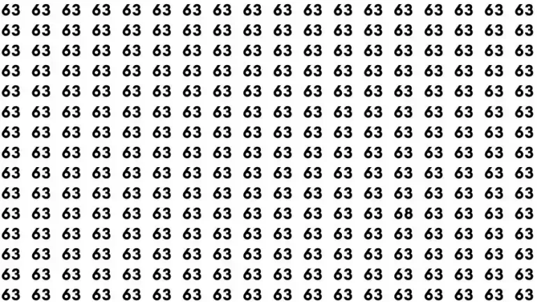 Observation Skill Test: If you have Sharp Eyes Find the number 68 among 63 in 12 Seconds?