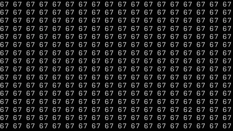 Observation Skills Test: If you have Eagle Eyes Find the number 62 among 67 in 15 Seconds?