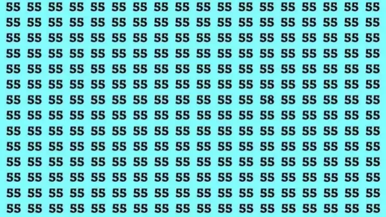 Solve the Puzzle Where 6+8=5 by Removing 2 Sticks to Fix the Equation