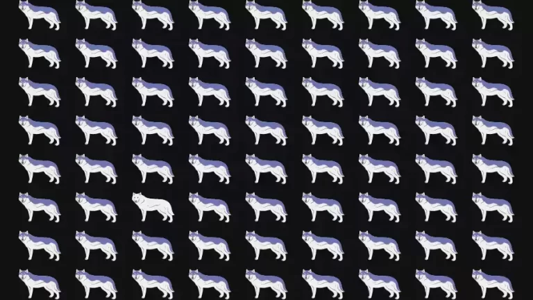 Observation Skill Test: Can you find the Odd Wolf in 10 Seconds?