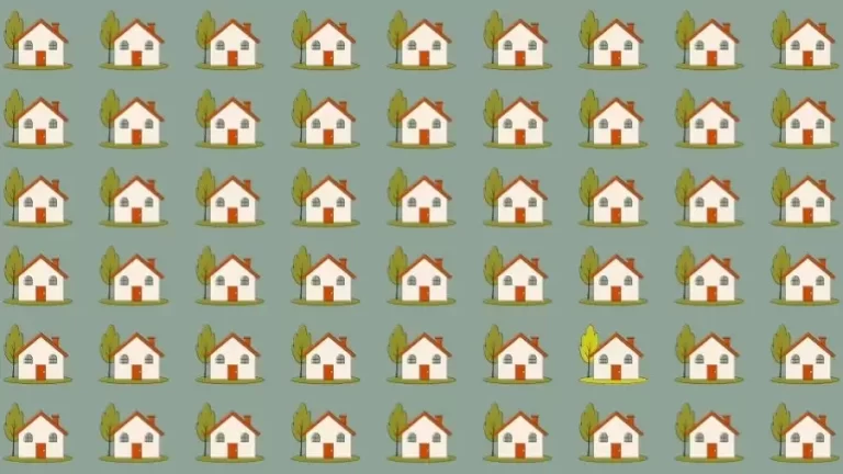 Observation Skills Test: Can you find the Odd House in 10 Seconds?