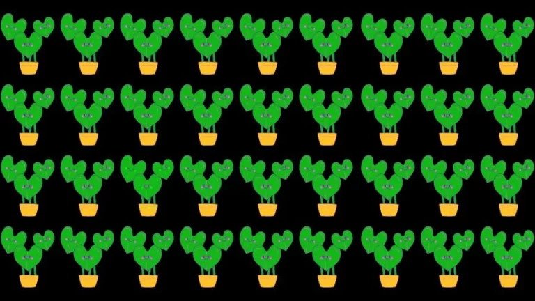 Only 1% of attentive people can spot 5 differences in the Giraffe picture in 20 seconds!