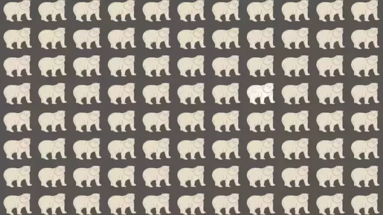 Observation Skills Test: Can you find the Odd Polar Bear in 10 Seconds?