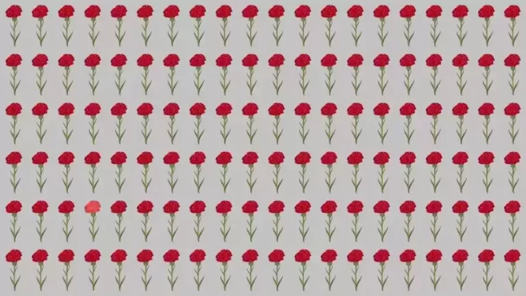 Observation Skills Test: Can you find the Odd Rose in 10 Seconds?