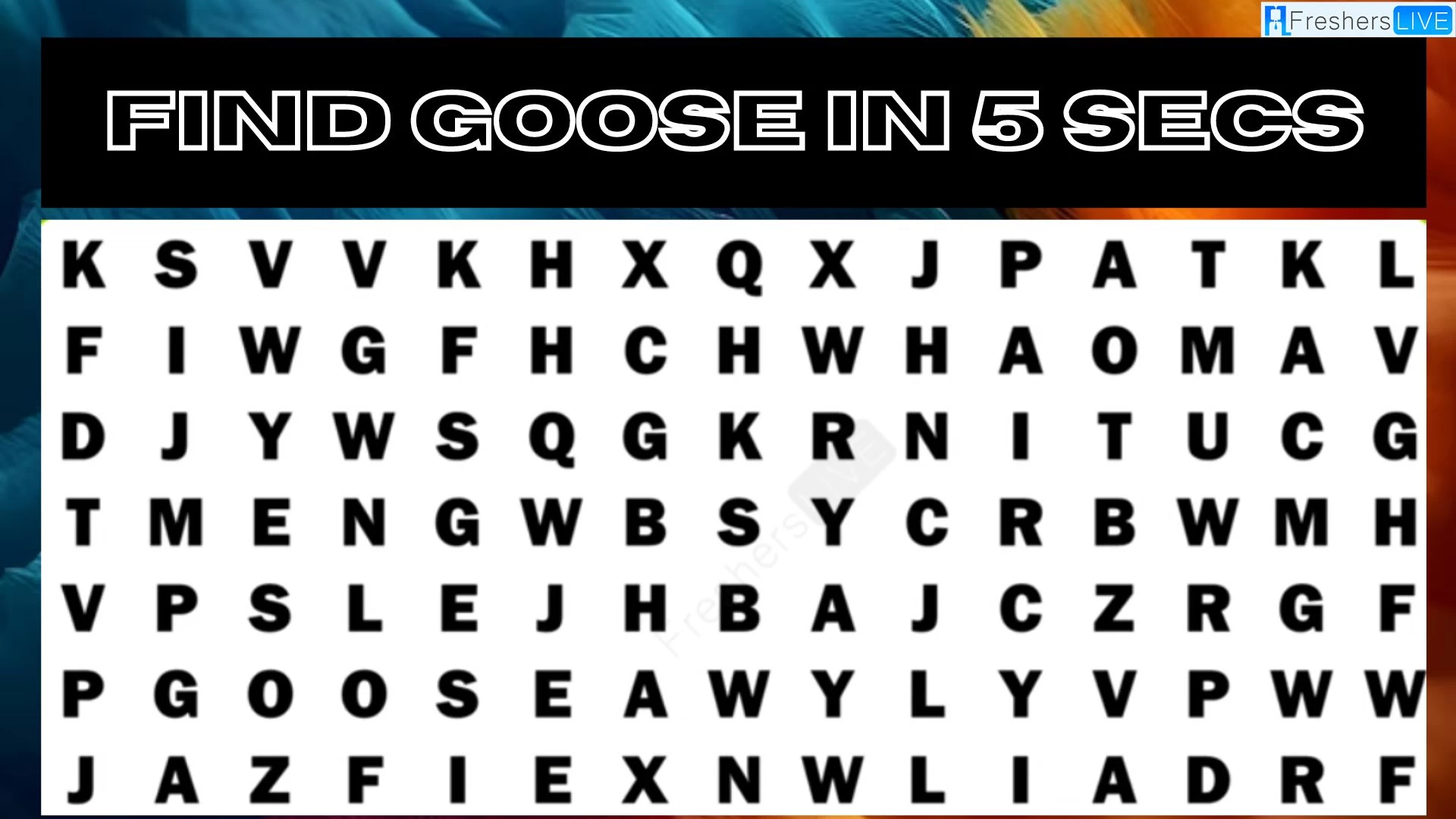 Only 4k Vision People can Find the word Goose in Just 5 Seconds