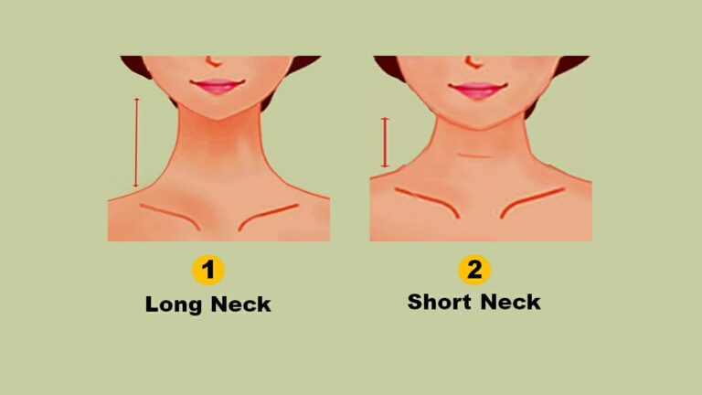 Neck Shape Personality Test