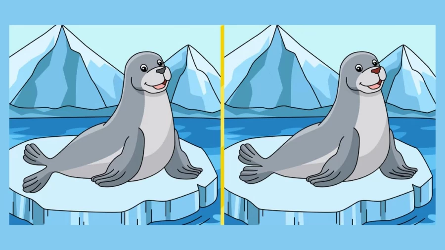 Can you Spot 5 Differences in these Pictures?