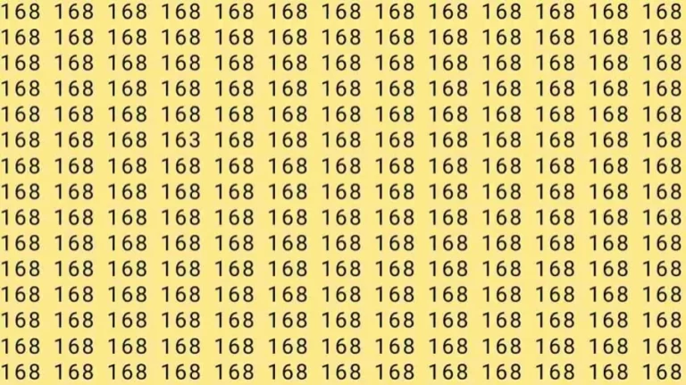 Observation Skills Test: If you have Eagle Eyes Find the number 163 among 168 in 6 Seconds?