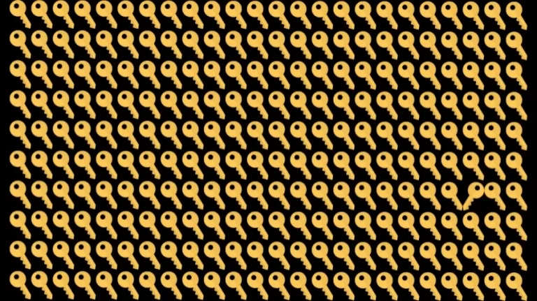 Optical Illusion Brain Test: If you have Sharp Eyes find the Odd Key in 8 Seconds