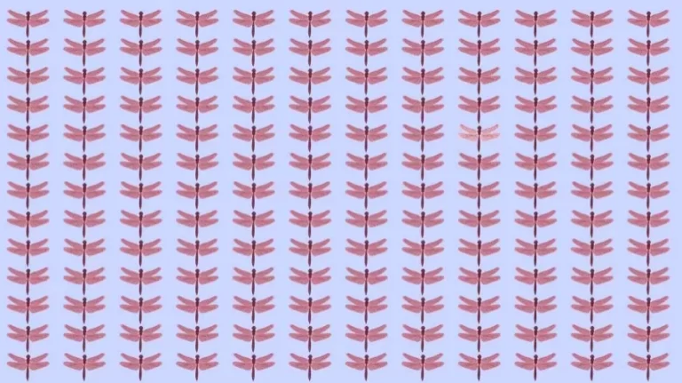 Optical Illusion Brain Test: If you have Hawk Eyes find the Odd Dragonfly within 8 Seconds