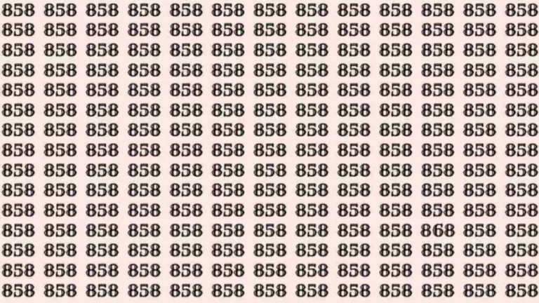 Optical Illusion: If you have Hawk Eyes Find the number 868 among 858 in 6 Seconds?