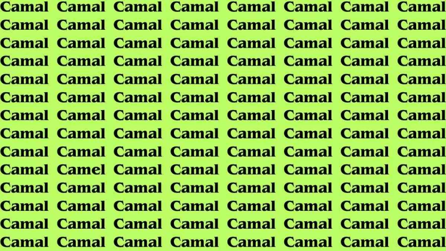 Brain Test: If you have Eagle Eyes Find the Word Camel in 15 Secs