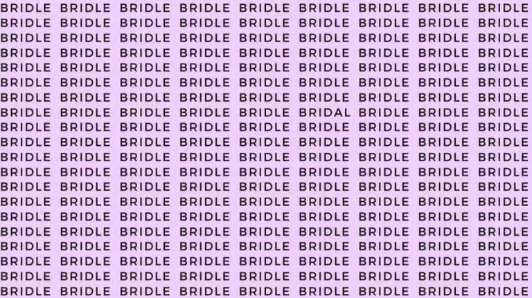 Optical Illusion Challenge: If you have Eagle Eyes find the word Bridal among Bridle in 8 Secs