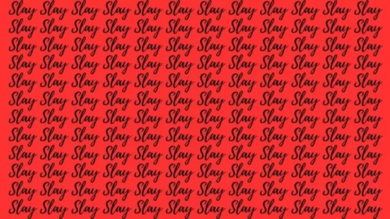 Optical Illusion Brain Test: If you have Sharp Eyes find the Word Stay among Slay in 20 Secs