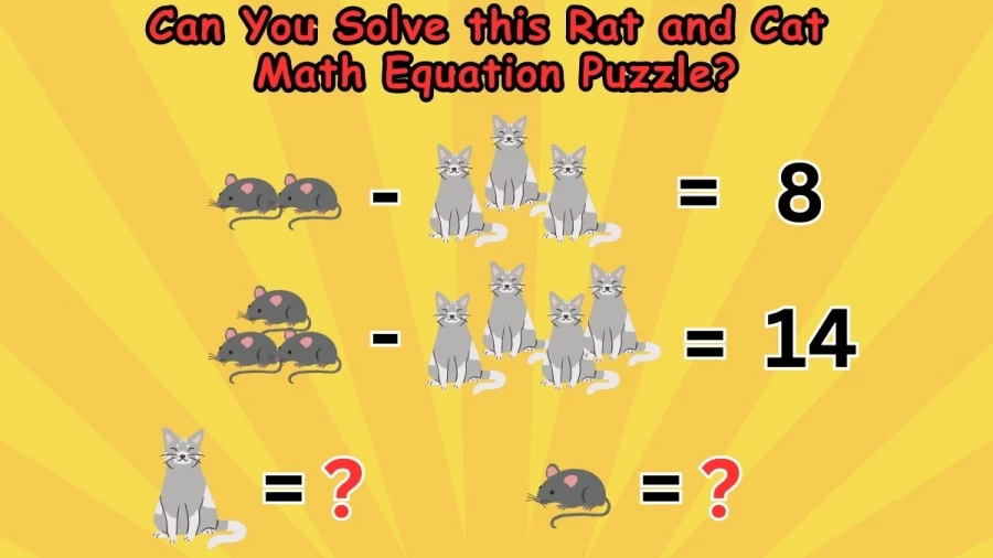 Brain Teaser Math Test: Can You Solve this Rat and Cat Math Equation Puzzle?