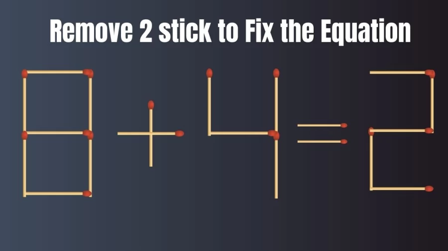 Brain Teaser: Remove 2 Matchsticks to Fix this Equation in 30 Secs I Matchstick Puzzle