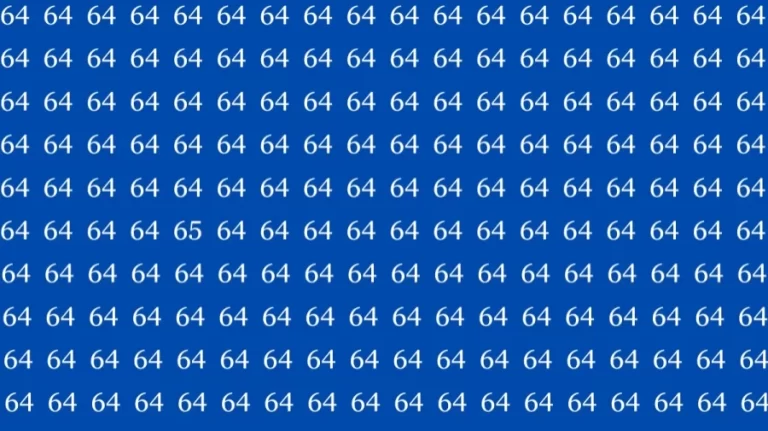 Optical Illusion Brain Test: Find the Number 65 among 64 in this Image within 12 Seconds