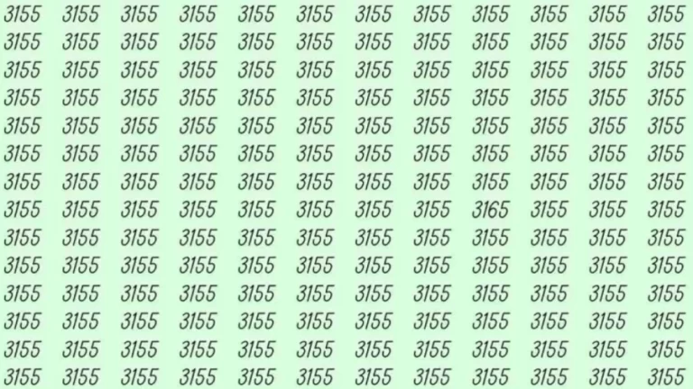 Mind-bending Brain Teaser Challenge You to Find the Number 243 in 10 Secs