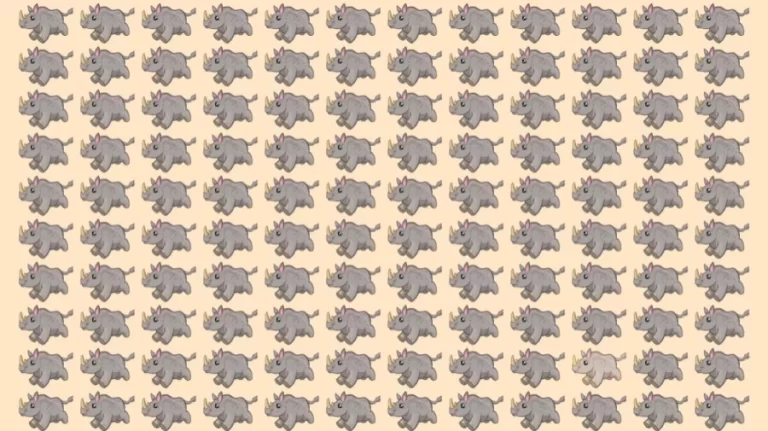 Optical Illusion: Can you find the Odd Rhino within 10 Seconds?