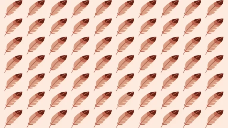 Optical Illusion: Can you find the Odd feather in 10 Seconds?