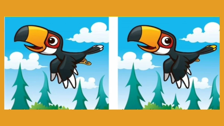 Can you Spot 5 Differences in these Pictures?