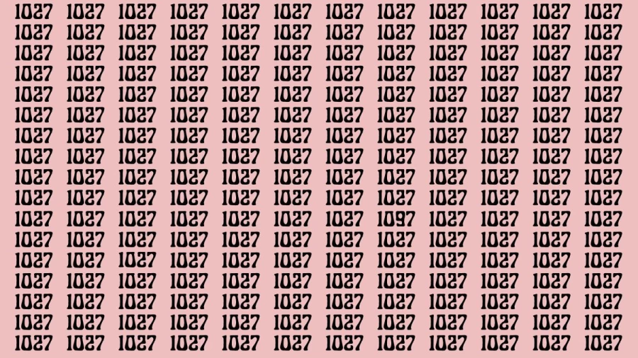 Mind-bending Brain Teaser Challenge You to Find the Number 243 in 10 Secs