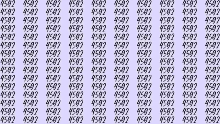 Mind-bending Brain Teaser Challenge You to Find the Number 243 in 10 Secs