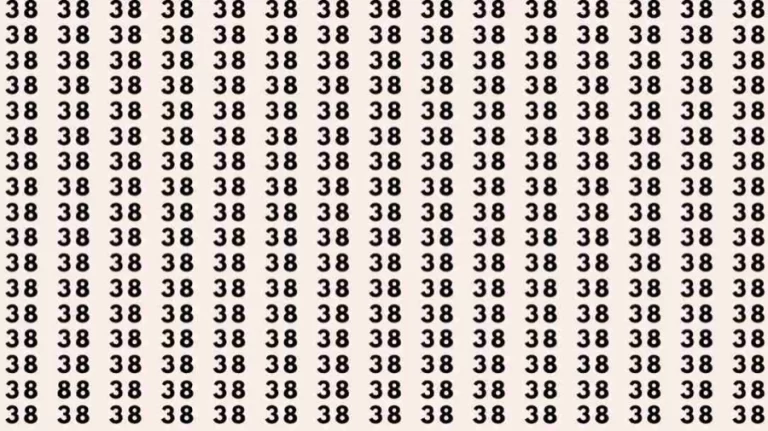 Optical Illusion Test: If you have Hawk Eyes Find the number 88 among 38 in 7 Seconds?