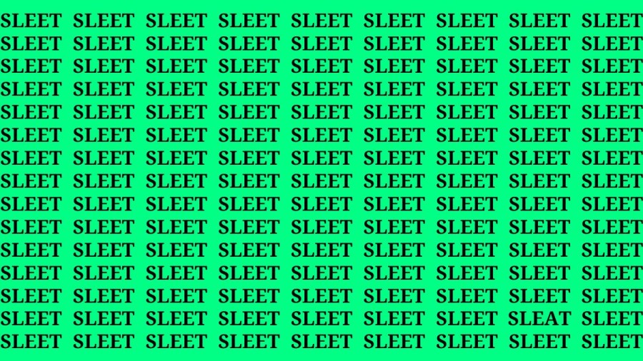 Brain Test: If you have Hawk Eyes Find the word Sleat among Sleet in 18 Secs