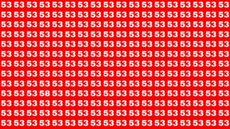 Observation Skills Test: If you have Eagle Eyes Find the Number 58 among 53 in 12 Secs