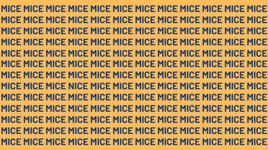 Optical Illusion: If you have Hawk Eyes find the Word Nice among Mice in 15 Secs