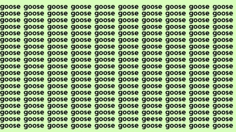 Optical Illusion Brain Test: If you have Sharp Eyes find the Word Geese among Goose in 20 Secs