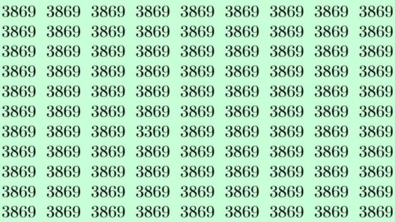 Can You Spot 3369 among 3869 in 30 Seconds? Explanation And Solution To The Optical Illusion