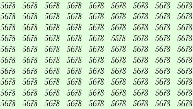 Can You Spot 5578 among 5678 in 30 Seconds? Explanation And Solution To The Optical Illusion