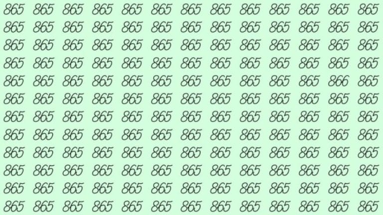 Can You Spot 866 among 865 in 30 Seconds? Explanation And Solution To The Optical Illusion